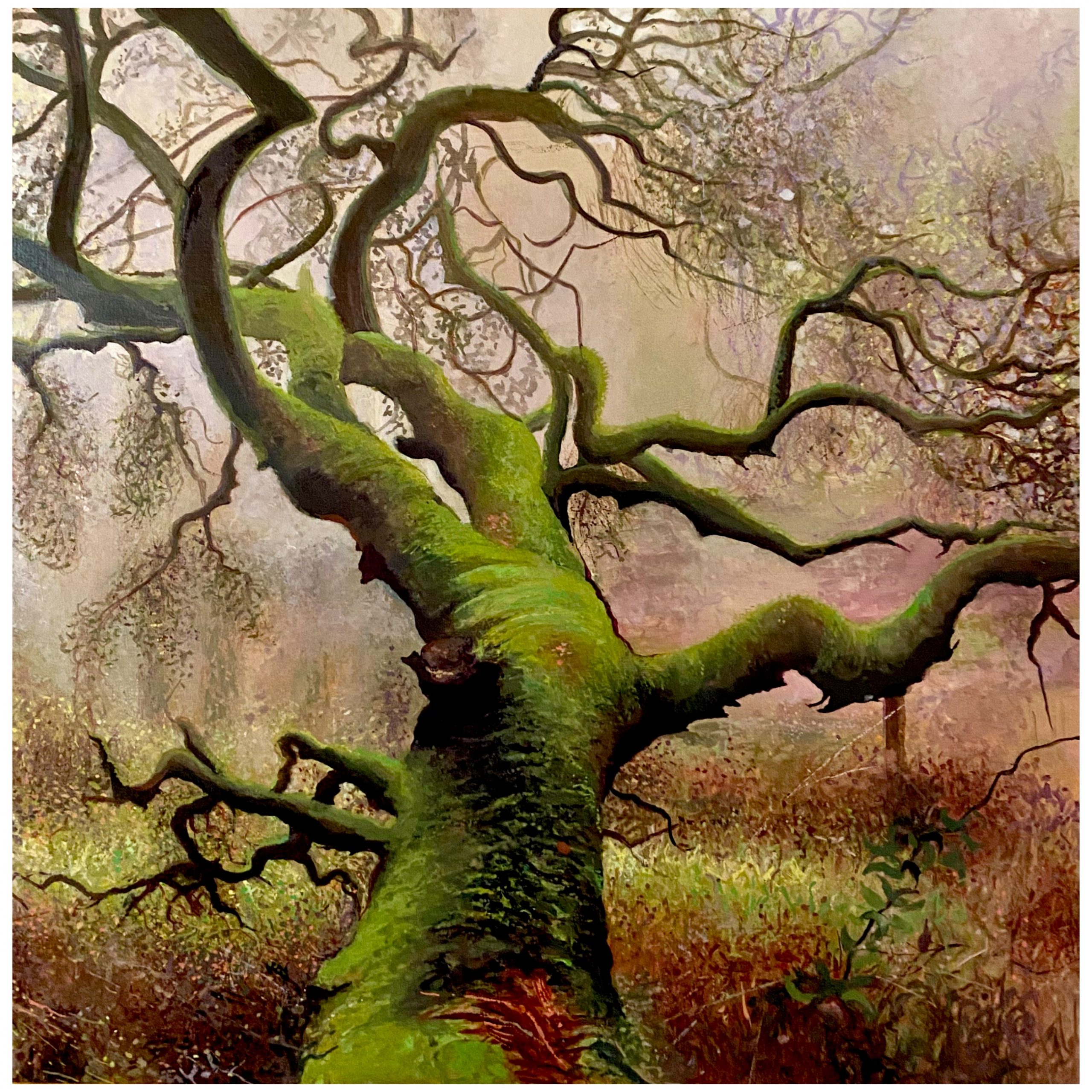 Ancient Oak, interweaving, gouache, 2025, Sara Heinrich