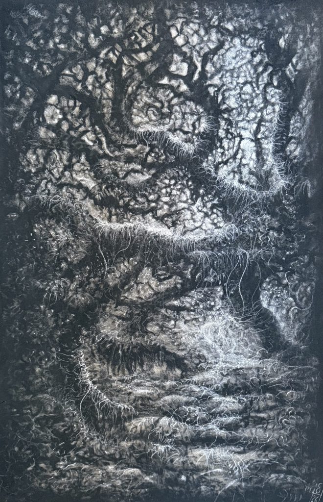 Condensation, charcoal, 2026, Sara Heinrich
