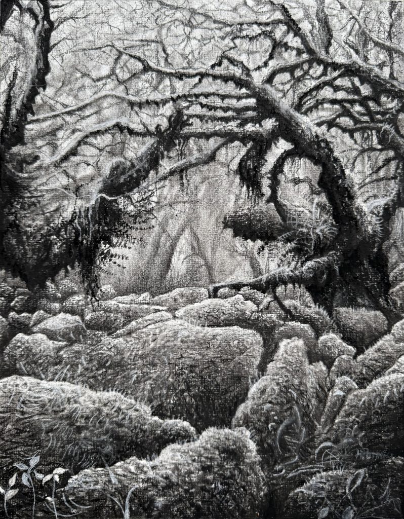 Intertwined charcoal, 2025, Sara Heinrich