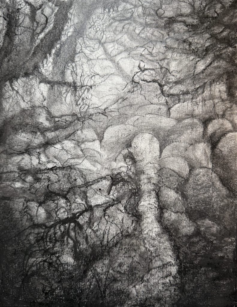 Into the light, charcoal 2025, Sara Heinrich
