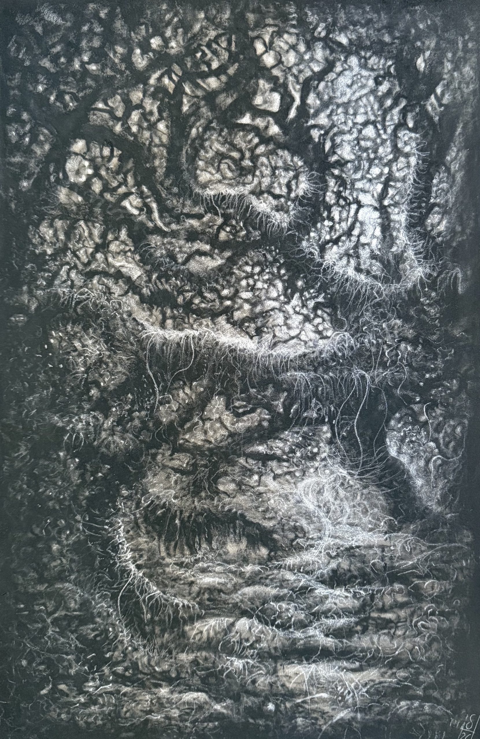 Condensation, interweaving, charcoal, 2026, Sara Heinrich