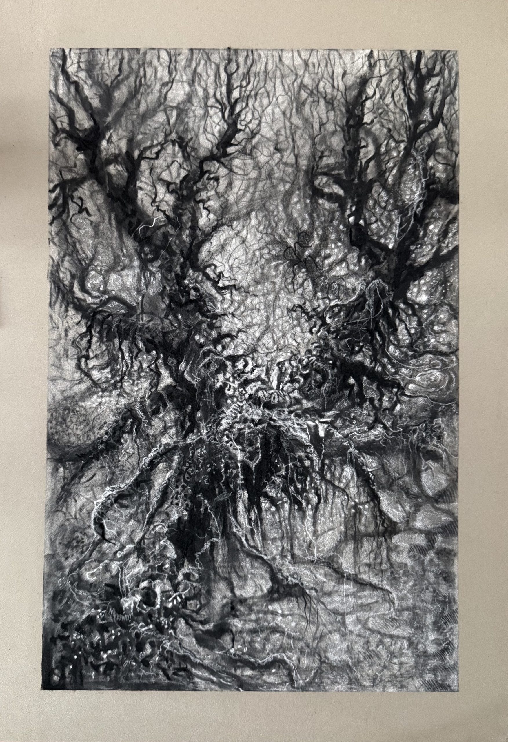 Emergence, interweaving, charcoal, 2026, Sara Heinrich