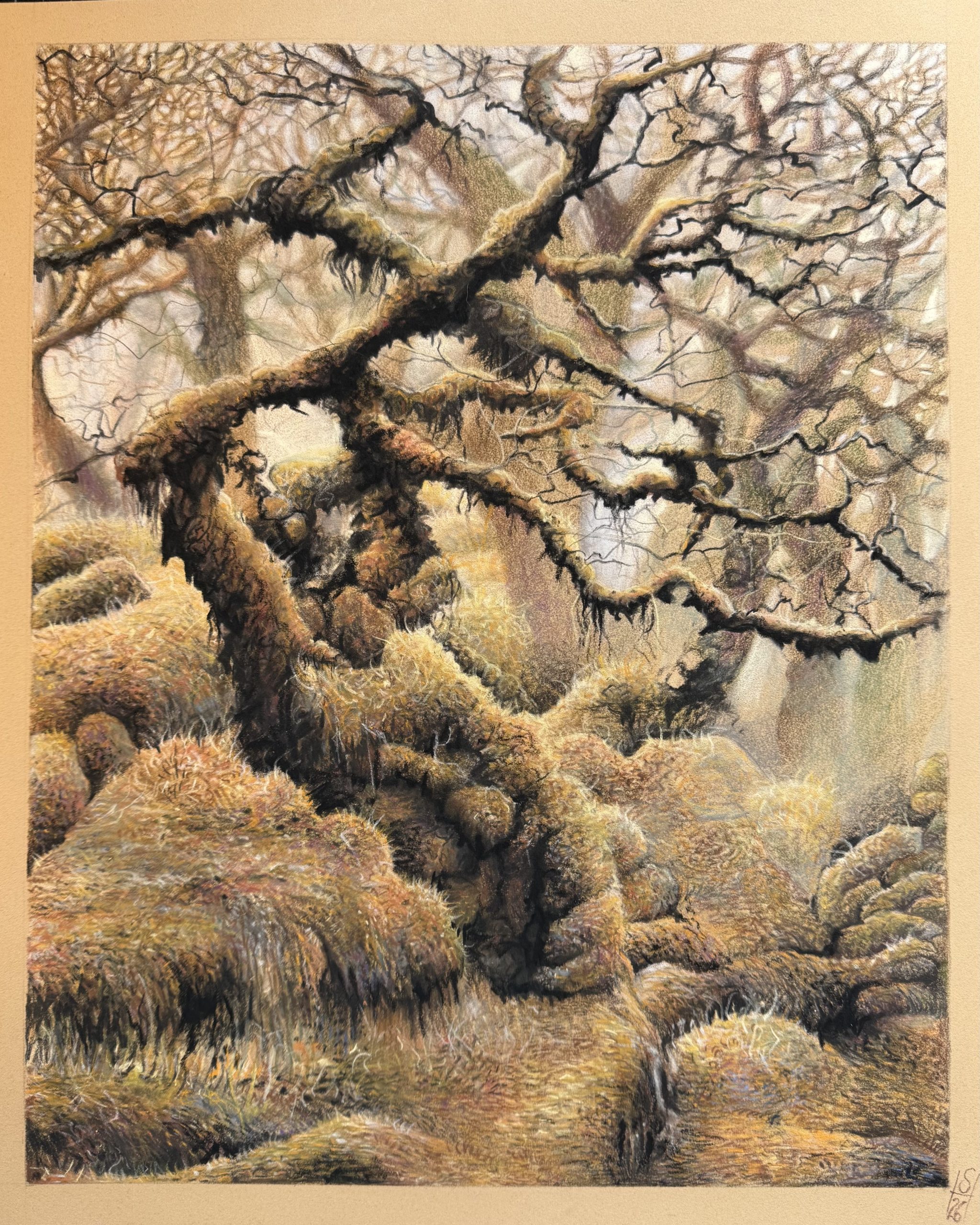 The Clearing, interweaving, mixed media, 2026, Sara Heinrich